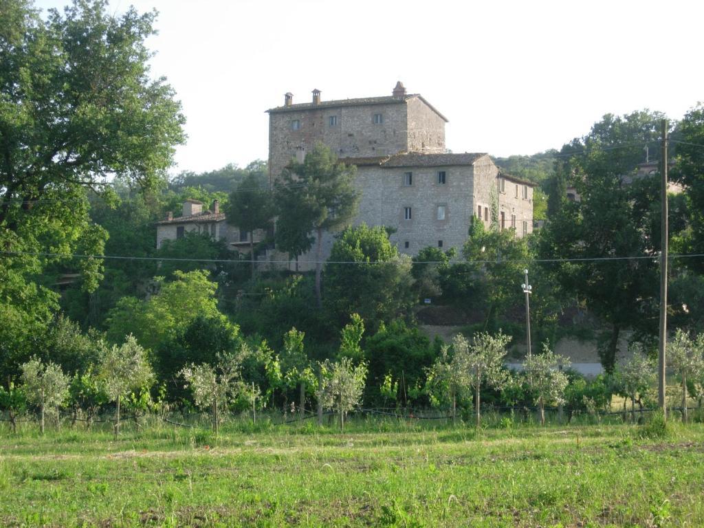 Gli Appartamenti Di Torre Bertona Тоди Номер фото